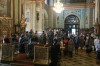 img 43239