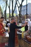 img 43299