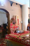img 43377