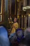 img 43558