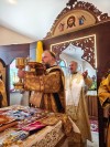 img 43890