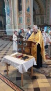 img 44228