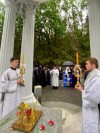 img 44707